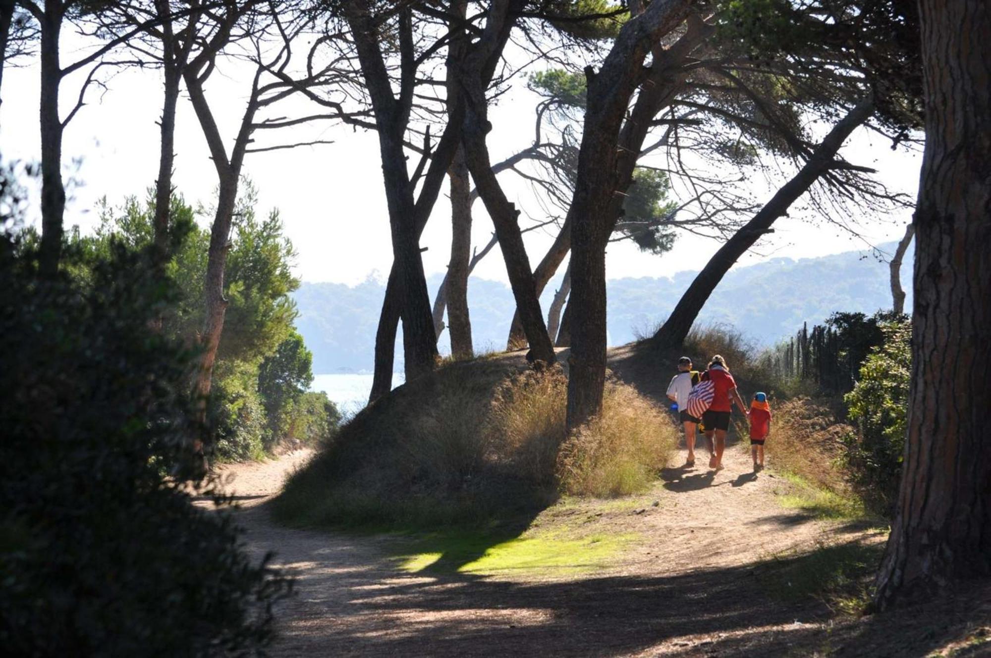 Hyevass Pour 4 Personnes Proche De La Des Salins Situe A Appartement Hyères